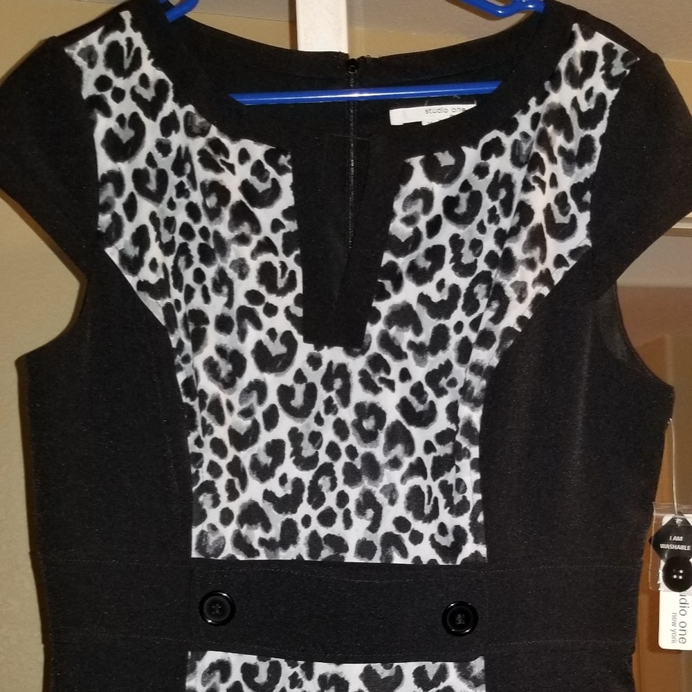 Zebra Dress (Studio One)